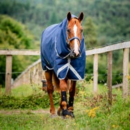 Horseware Amigo 1200D Plus Turnout Sheet/Blanket 0G