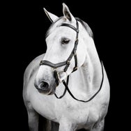 Horseware Rambo Micklem Multi Bridle