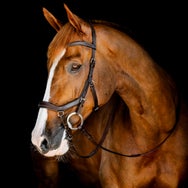 Horseware Rambo Micklem Competition Bridle