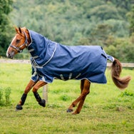Horseware Amigo 1200D Plus Turnout Blanket 250G