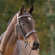Kavalkade Benita Anatomical Adjustable Hunter Bridle
