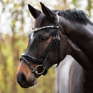 Kavalkade Zora German Leather Padded Adjustable Bridle 