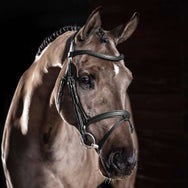 LeMieux Arika Anatomical Removable Flash Bridle