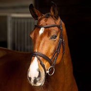 LeMieux Arika Anatomical Removable Flash Bridle