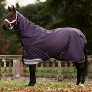 LeMieux Arika Rug Ripstop Turnout Blanket 350G