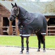 LeMieux Arika Storm-Tek Rug Turnout Blanket 350G