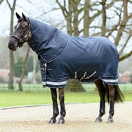 LeMieux Arika Storm-Tek Rug Turnout Blanket 350G