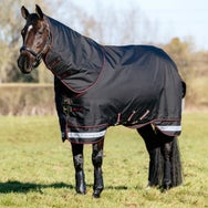 LeMieux Arika Storm-Tek Rug Turnout Blanket 100G
