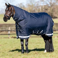 LeMieux Arika Storm-Tek Rug Turnout Blanket 100G