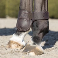 LeMieux Capella Leather Fetlock Boots