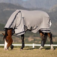 LeMieux Gladiator Fly Rug Sheet