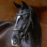 LeMieux Kudos Anatomic Contour Flash Bridle