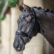 LeMieux Kudos Patent Dressage Bridle
