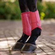 LeMieux Arika Brushing Boots Cranberry SM
