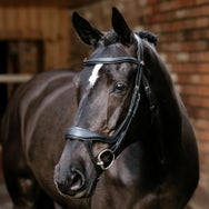 LeMieux Arika Split Noseband Bridle