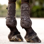 LeMieux Motion Cool Open Front Tendon Boots