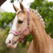 LeMieux Spring Vogue Headcollar Halter & Leadrope