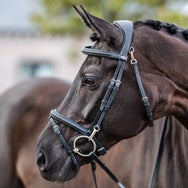LeMieux Work Bridle