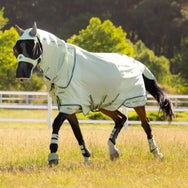 LeMieux Arika Armour-Tek Fly Rug Sheet