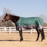 Professional's Choice 1200D Turnout Blanket 300G
