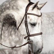 PS of Sweden Ocala Anatomical Hunter Bridle