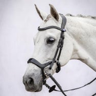 PS of Sweden Pioneer Anatomic Bridle
