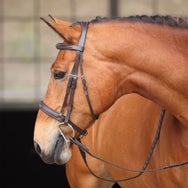 Shires Avignon Wellington Hunter Bridle