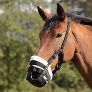 Shires FreeGraze Breathe Easy Grazing Muzzle w/ Fleece