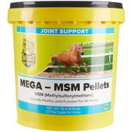 Select The Best Mega MSM Joint Supplement-Pellets
