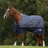 Saxon Defiant 600D Standard Turnout Blanket/Sheet 0G