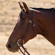 Velociti Browband Headstall with Rawhide Knot