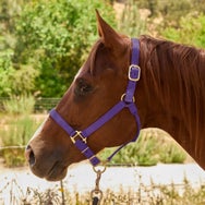 Tough1 Premium Poly Halter