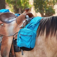 Tucker Adventurer Pommel Bag