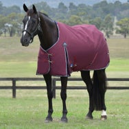 Weatherbeeta ComFiTec Essential Standard Blanket 50G