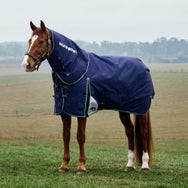 Weatherbeeta Plus Dynamic Detach-A-Neck Blanket 360G