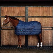 Weatherbeeta ComfiTec Blanket Liner 100G