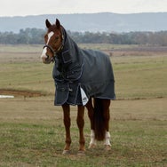 Weatherbeeta ComfiTec Ultra 1800D Turnout Blanket 100G