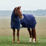 Weatherbeeta Plus Dynamic Detach-A-Neck Blanket 220G