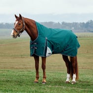 Weatherbeeta Plus Dynamic Turnout HighNeck Blanket 220G