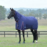 Weatherbeeta Essential Combo Neck Turnout Blanket 220G