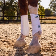 Weatherbeeta Tough-Tec Prime Brushing Horse Boots