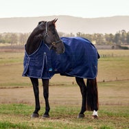 Weatherbeeta ComFiTec Prelim Standard Blanket 360G