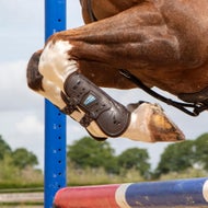 Horse Boots and Wraps