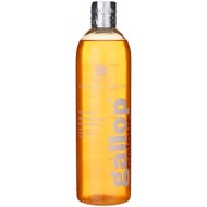 Bathing & Horse Care