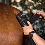 Horse Heart Rate Monitors