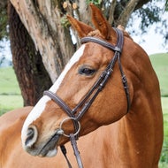 English Bridles & Accessories