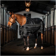 Horse Blanket Liners