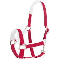 Horse Halters and Leads