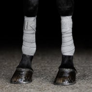 Incrediwear Equine