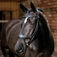 LeMieux Bridles & Reins